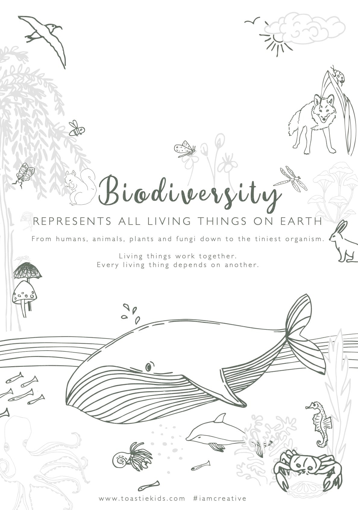 Biodiversity Colouring Page – Toastie